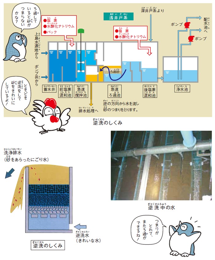 逆洗のしくみ